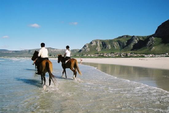 Dawn'S Place Hermanus Bagian luar foto